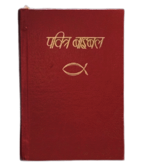 Bible: Crown Hard Bound (Brown)